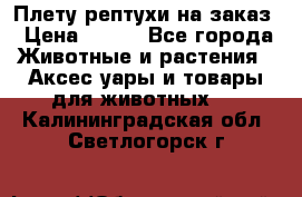 Плету рептухи на заказ › Цена ­ 450 - Все города Животные и растения » Аксесcуары и товары для животных   . Калининградская обл.,Светлогорск г.